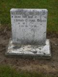 image of grave number 238436